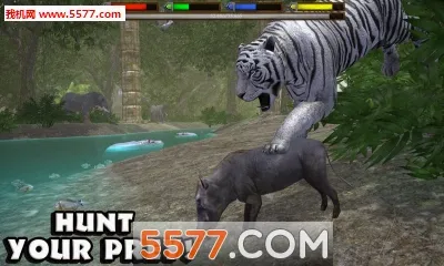 ���ֶ���ģ����2026���°汾v1.2 �ֻ����ͼ