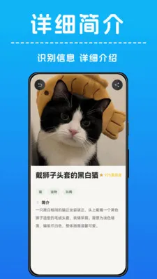 AI����ʶ��(����ʶ��Ӧ��)v1.0.4 �ֻ����ͼ