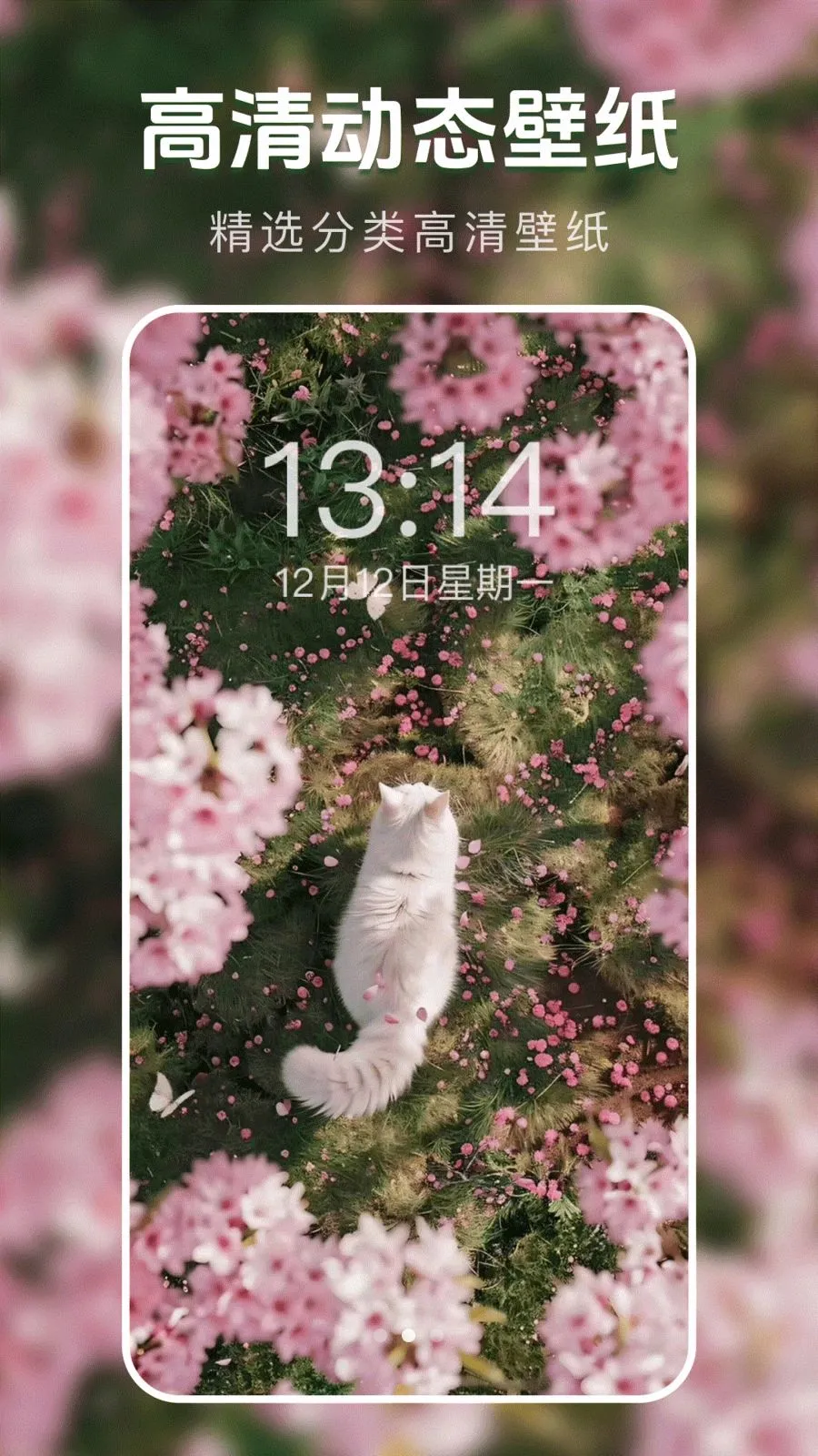 ��̬�����ֽ��2026�ٷ����°汾v1.0.0 �ٷ������ͼ