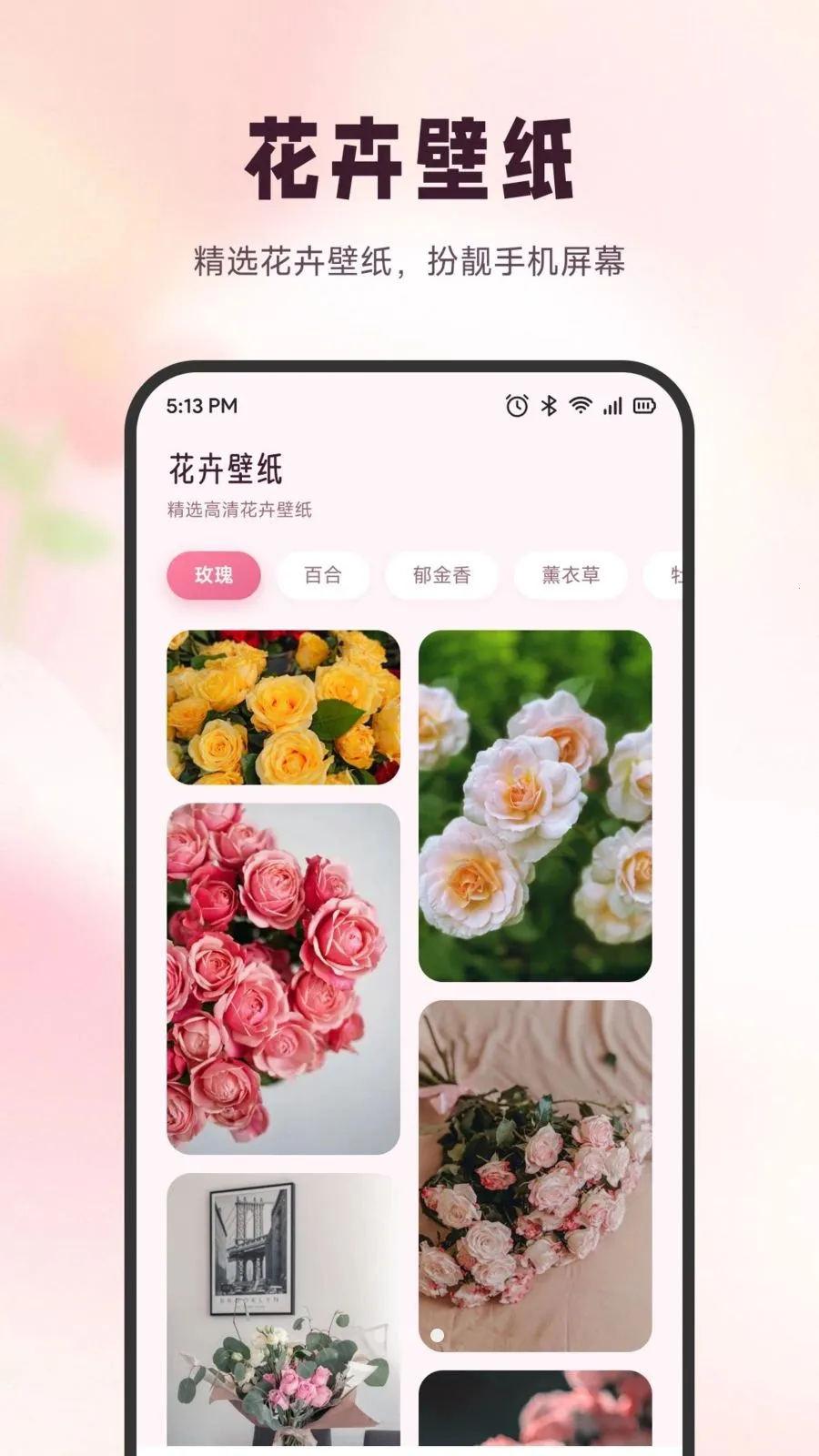 ѩ�ڻ���(ʶ����������)v1.5 �ٷ������ͼ